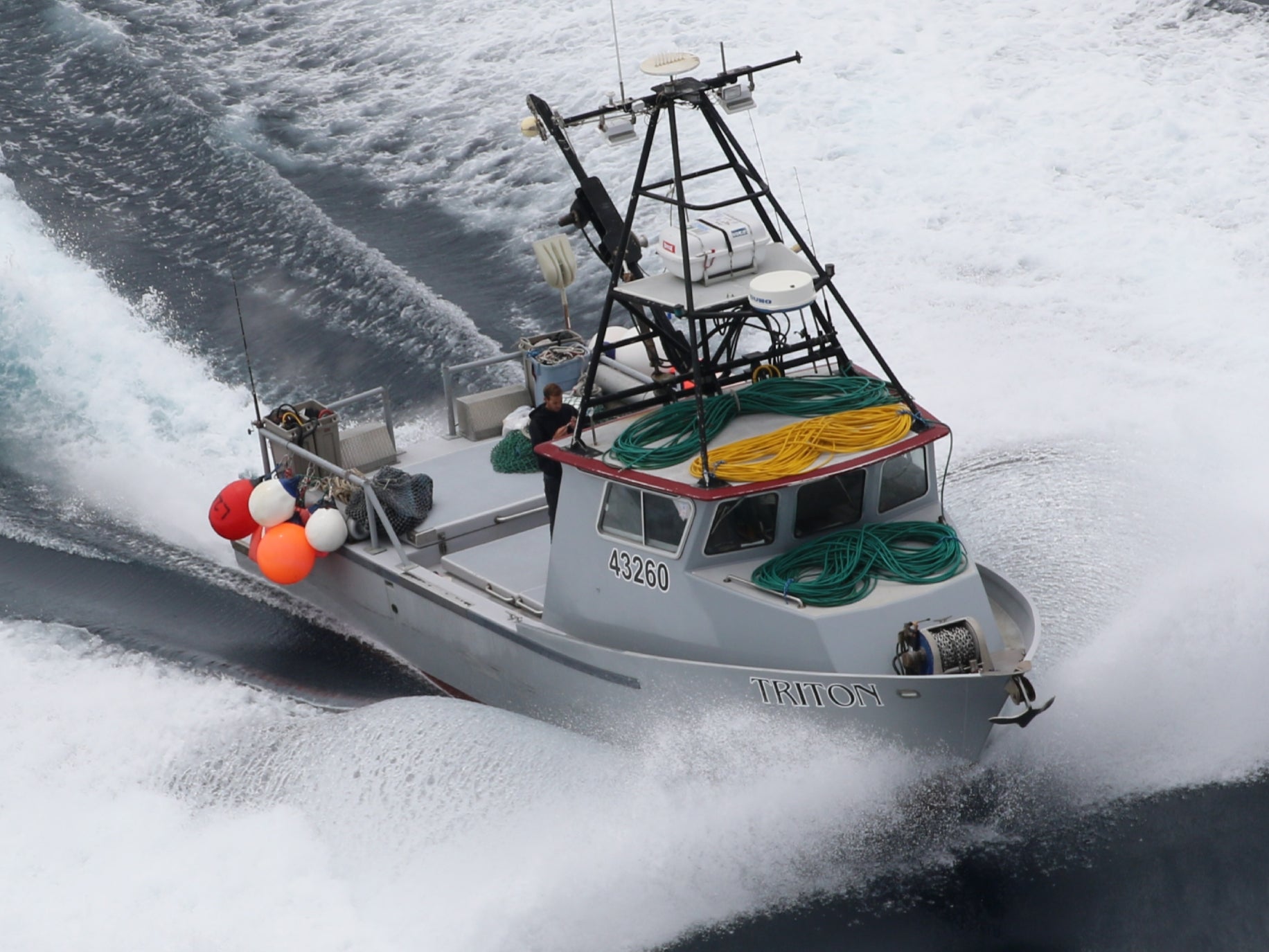 DV Triton
